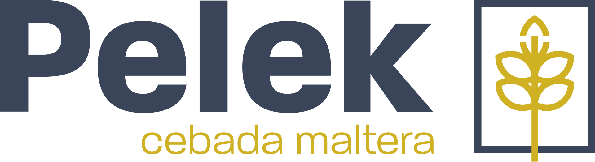 My Website